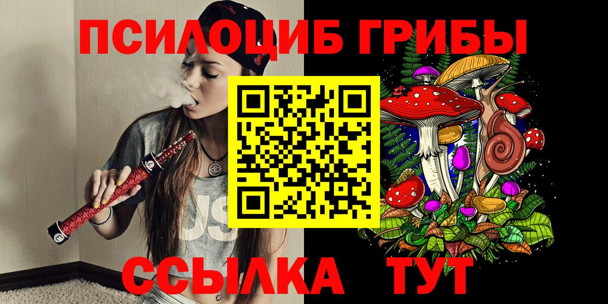 Галлюциногенные грибы Psilocybe Сланцы