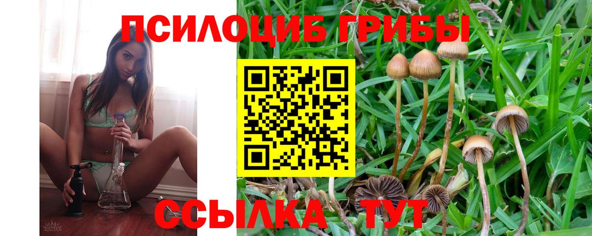 Псилоцибиновые грибы мухоморы  Вход с VPN  Сланцы 